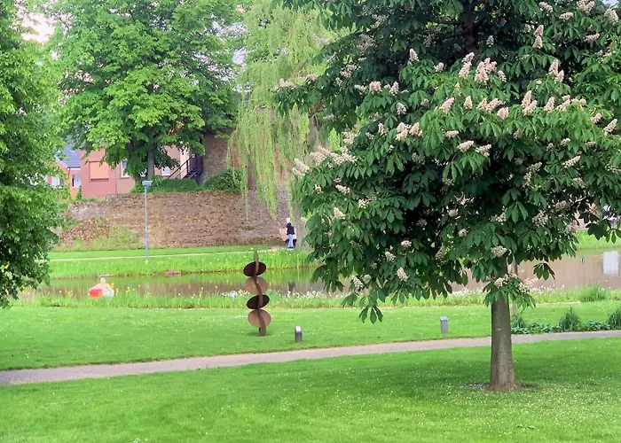 Rheinblick Traum 公寓 *